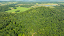 DJI_0771_1.jpg