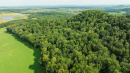 DJI_0773.jpg