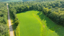 DJI_0778_1.jpg
