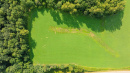 DJI_0781_1.jpg