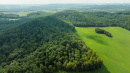 DJI_0782.jpg