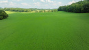 DJI_0784.jpg