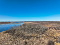DJI_0827-Copy.jpg