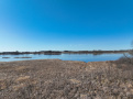 DJI_0832-Copy.jpg