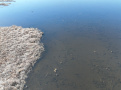 DJI_0833-Copy.jpg