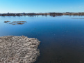 DJI_0834-Copy.jpg