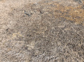 DJI_0840-Copy_1.jpg