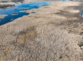 DJI_0842-Copy_1.jpg