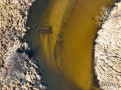 DJI_0855_1.jpg