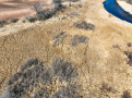 DJI_0868.jpg