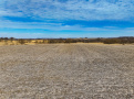 DJI_0897.jpg
