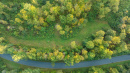 DJI_0917_1.jpg