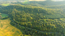 DJI_0921_1.jpg
