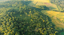 DJI_0925.jpg