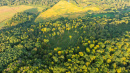 DJI_0927.jpg