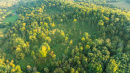DJI_0929.jpg