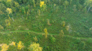 DJI_0930.jpg