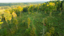 DJI_0932_1.jpg