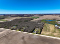 DJI_0934.jpg