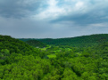 DJI_0981.jpg