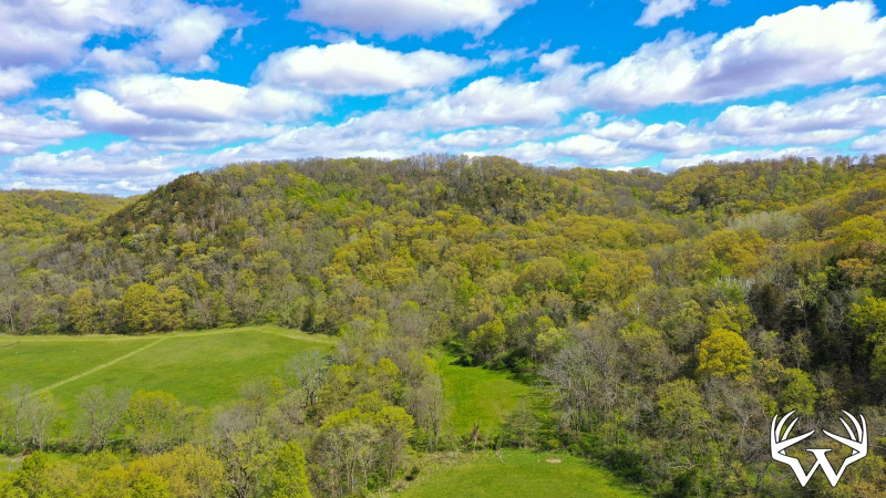 DJI_0987_1.jpg