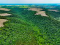 DJI_0994.jpg
