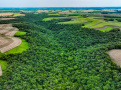 DJI_0999.jpg