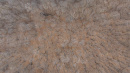 DJI_20250421161306_0602_D.jpg