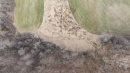 DJI_20250421161321_0603_D.jpg