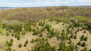DJI_20250505144546_0878_D.jpg