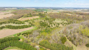 DJI_20250505145714_0909_D.jpg