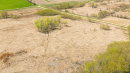 DJI_20250505145933_0915_D.jpg