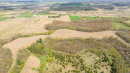 DJI_20250505150619_0933_D.jpg