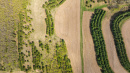 DJI_20250505150642_0935_D.jpg