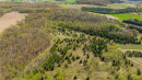 DJI_20250505150938_0945_D.jpg