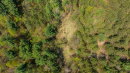 DJI_20250507105900_0967_D.jpg