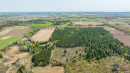 DJI_20250507110543_0982_D.jpg