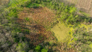DJI_20250512075946_0070_D.jpg