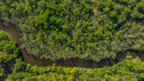 DJI_20250512080342_0080_D.jpg