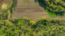 DJI_20250512080405_0081_D.jpg