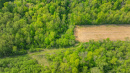 DJI_20250514154526_0174_D.jpg