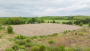 DJI_20250519132730_0308_D.jpg