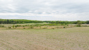 DJI_20250519132928_0316_D.jpg