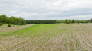 DJI_20250519133003_0317_D.jpg