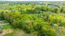 DJI_20250522143613_0345_D.jpg