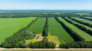 DJI_20250702101804_0037_D.jpg