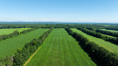 DJI_20250702101922_0042_D.jpg