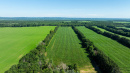 DJI_20250702101951_0044_D.jpg