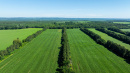 DJI_20250702102031_0046_D.jpg