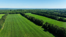 DJI_20250702102100_0048_D.jpg